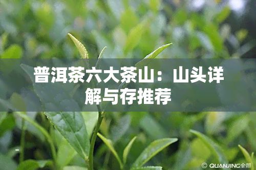 普洱茶六大茶山：山头详解与存推荐