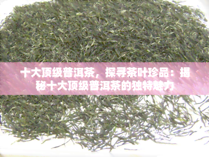 十大顶级普洱茶，探寻茶叶珍品：揭秘十大顶级普洱茶的独特魅力