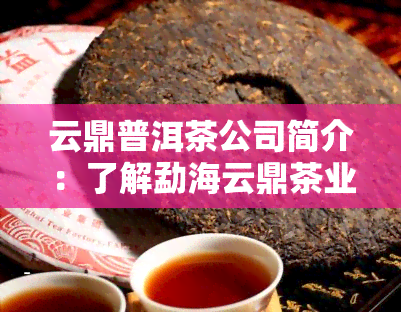 云鼎普洱茶公司简介：了解勐海云鼎茶业及其产品——云鼎普洱茶的价格与品质