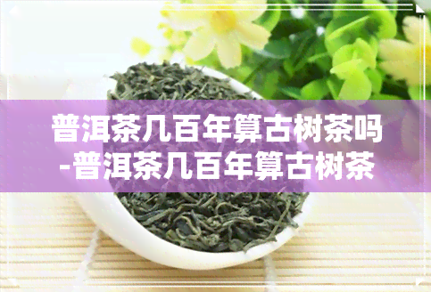 普洱茶几百年算古树茶吗-普洱茶几百年算古树茶吗知乎