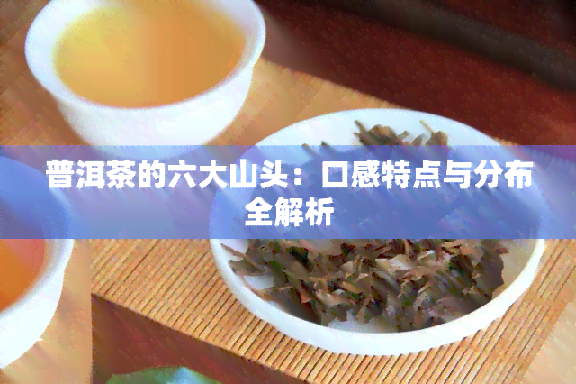 普洱茶的六大山头：口感特点与分布全解析