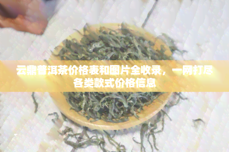 云鼎普洱茶价格表和图片全收录，一网打尽各类款式价格信息