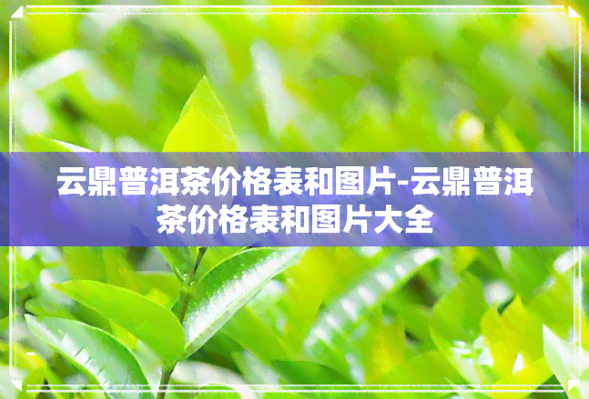 云鼎普洱茶价格表和图片-云鼎普洱茶价格表和图片大全