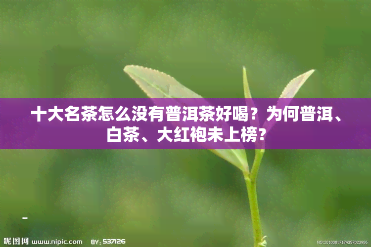 十大名茶怎么没有普洱茶好喝？为何普洱、白茶、大红袍未上榜？