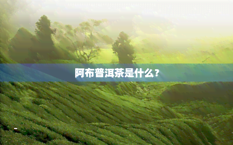 阿布普洱茶是什么？