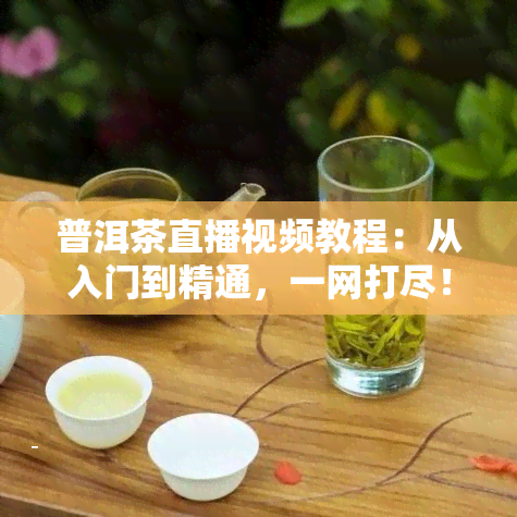 普洱茶直播视频教程：从入门到精通，一网打尽！