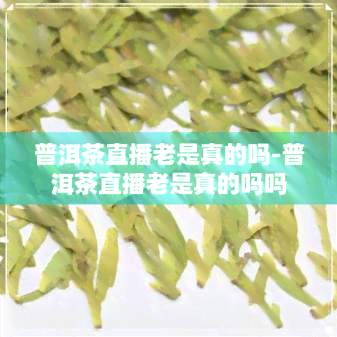 普洱茶直播老是真的吗-普洱茶直播老是真的吗吗