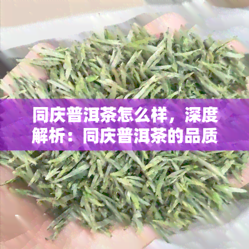 同庆普洱茶怎么样，深度解析：同庆普洱茶的品质与口感如何？