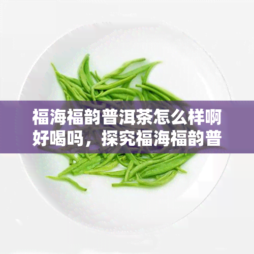 福海福韵普洱茶怎么样啊好喝吗，探究福海福韵普洱茶的口感，究竟是否好喝？