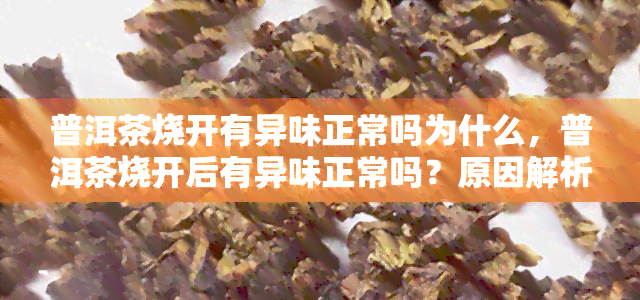 普洱茶烧开有异味正常吗为什么，普洱茶烧开后有异味正常吗？原因解析