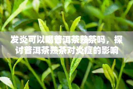 发炎可以喝普洱茶熟茶吗，探讨普洱茶熟茶对炎症的影响：是否适合饮用？