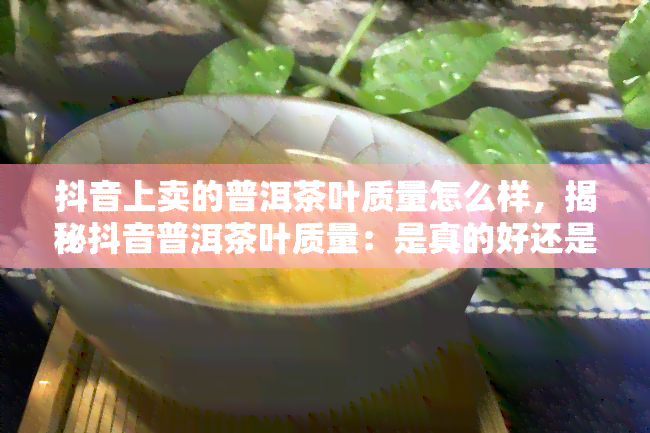 抖音上卖的普洱茶叶质量怎么样，揭秘抖音普洱茶叶质量：是真的好还是套路满满？