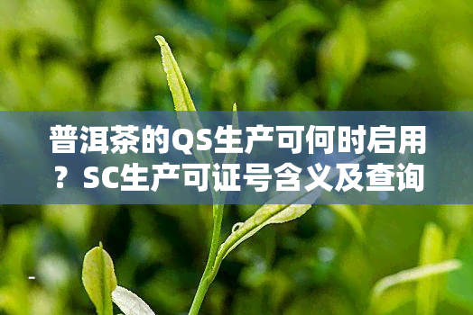 普洱茶的QS生产可何时启用？SC生产可证号含义及查询方法