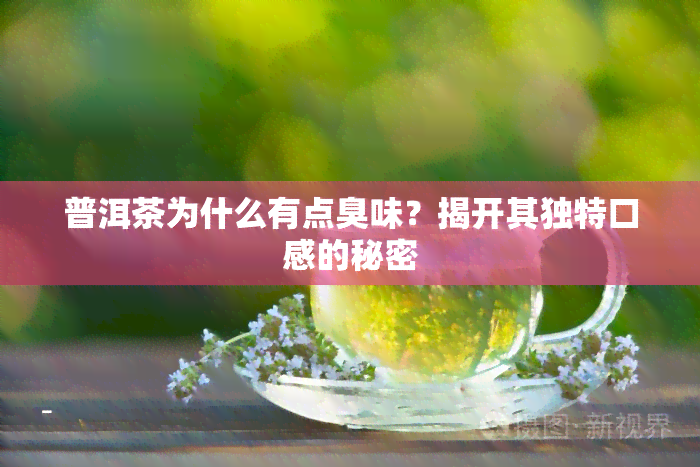 普洱茶为什么有点臭味？揭开其独特口感的秘密