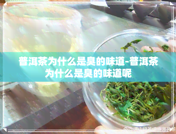 普洱茶为什么是臭的味道-普洱茶为什么是臭的味道呢