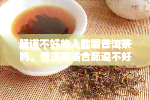 肠道不好的人能喝普洱茶吗，普洱茶适合肠道不好的人饮用吗？