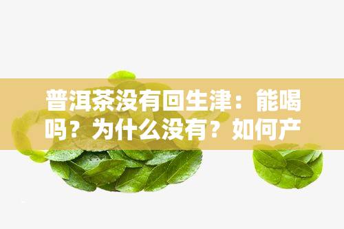 普洱茶没有回生津：能喝吗？为什么没有？如何产生？都是好茶有回吗？哪些因素影响回速度？