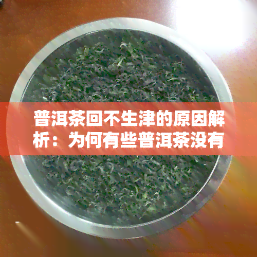 普洱茶回不生津的原因解析：为何有些普洱茶没有回现象？