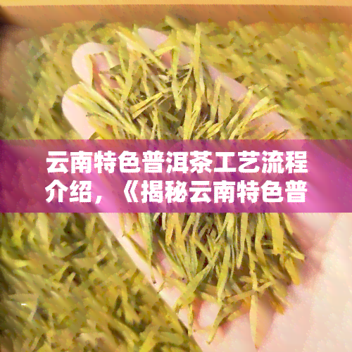 云南特色普洱茶工艺流程介绍，《揭秘云南特色普洱茶的制作工艺流程》