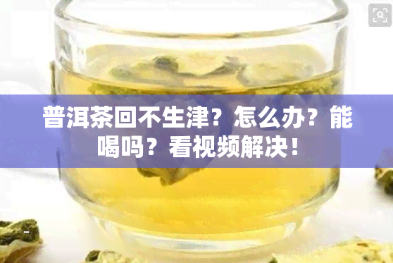 普洱茶回不生津？怎么办？能喝吗？看视频解决！