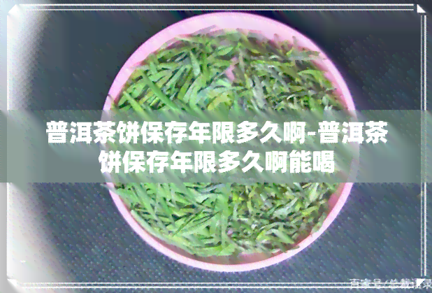 普洱茶饼保存年限多久啊-普洱茶饼保存年限多久啊能喝