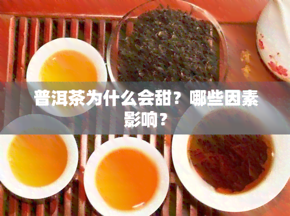 普洱茶为什么会甜？哪些因素影响？