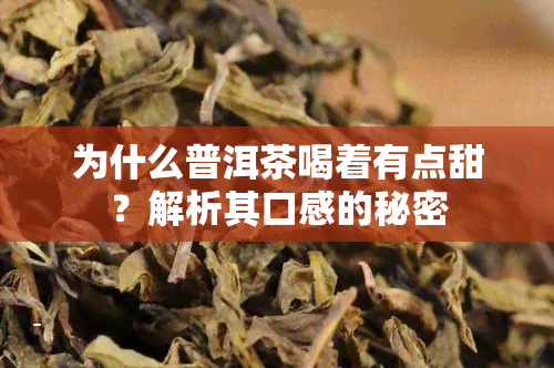 为什么普洱茶喝着有点甜？解析其口感的秘密