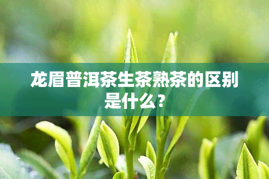 龙眉普洱茶生茶熟茶的区别是什么？