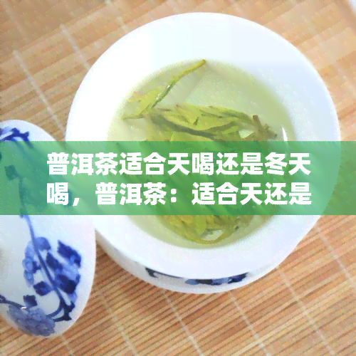 普洱茶适合天喝还是冬天喝，普洱茶：适合天还是冬天饮用？