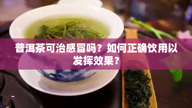 普洱茶可治感冒吗？如何正确饮用以发挥效果？