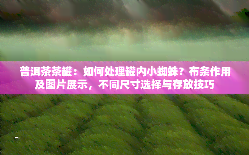 普洱茶茶罐：如何处理罐内小蜘蛛？布条作用及图片展示，不同尺寸选择与存放技巧