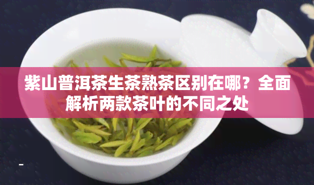 紫山普洱茶生茶熟茶区别在哪？全面解析两款茶叶的不同之处