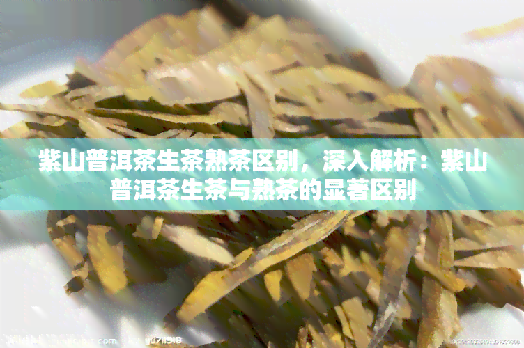 紫山普洱茶生茶熟茶区别，深入解析：紫山普洱茶生茶与熟茶的显著区别