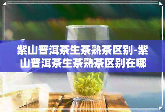 紫山普洱茶生茶熟茶区别-紫山普洱茶生茶熟茶区别在哪