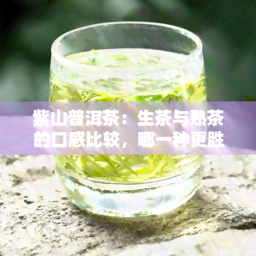 紫山普洱茶：生茶与熟茶的口感比较，哪一种更胜一筹？