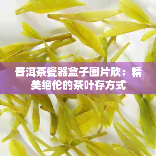 普洱茶瓷器盒子图片欣：精美绝伦的茶叶存方式