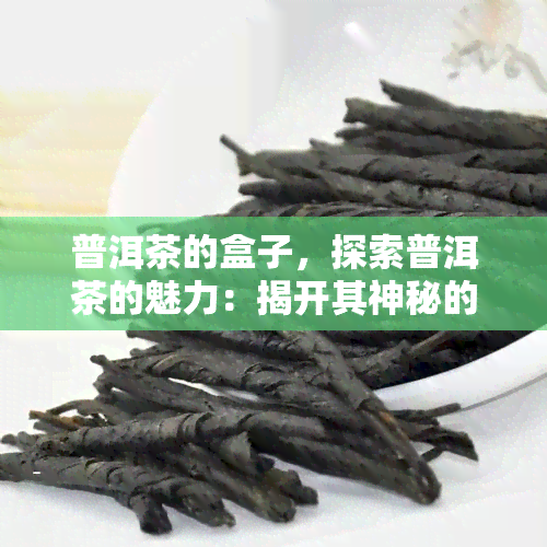 普洱茶的盒子，探索普洱茶的魅力：揭开其神秘的盒子