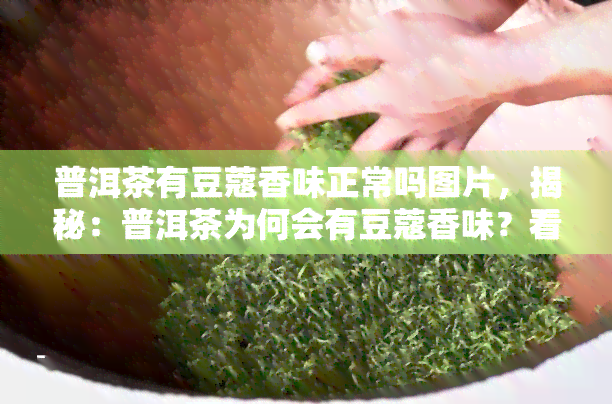 普洱茶有豆蔻香味正常吗图片，揭秘：普洱茶为何会有豆蔻香味？看图解析！