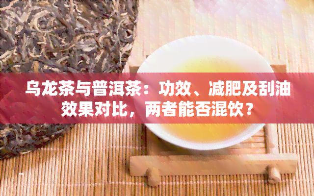 乌龙茶与普洱茶：功效、减肥及刮油效果对比，两者能否混饮？