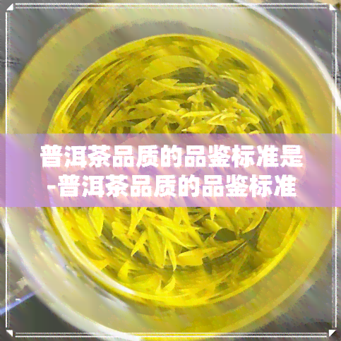 普洱茶品质的品鉴标准是-普洱茶品质的品鉴标准是什么