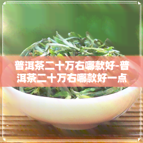 普洱茶二十万右哪款好-普洱茶二十万右哪款好一点