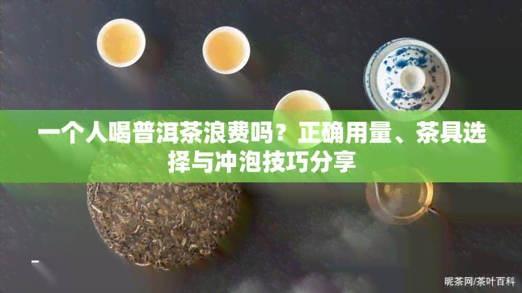 一个人喝普洱茶浪费吗？正确用量、茶具选择与冲泡技巧分享