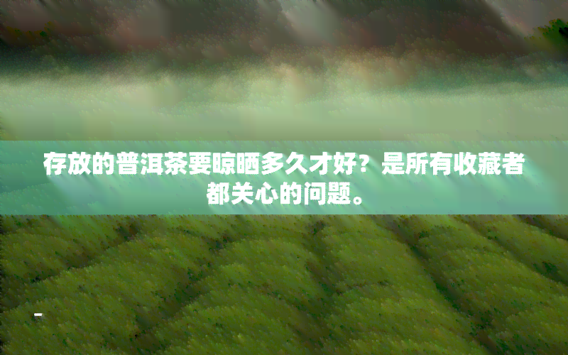 存放的普洱茶要晾晒多久才好？是所有收藏者都关心的问题。