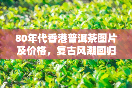 80年代普洱茶图片及价格，复古风潮回归！探究80年代普洱茶的独特魅力与价格