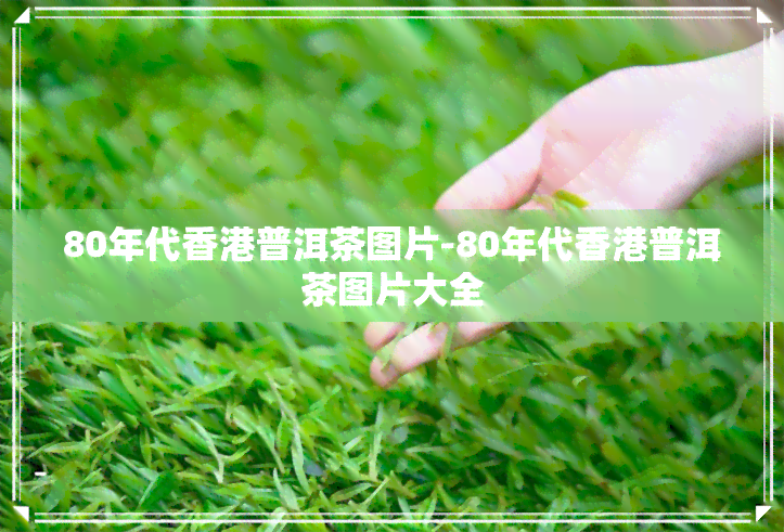 80年代普洱茶图片-80年代普洱茶图片大全