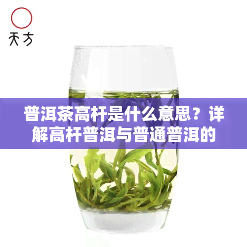 普洱茶高杆是什么意思？详解高杆普洱与普通普洱的区别、概念及产区