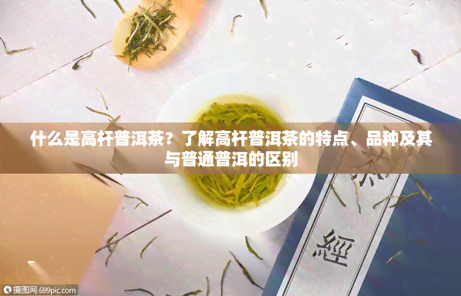 什么是高杆普洱茶？了解高杆普洱茶的特点、品种及其与普通普洱的区别