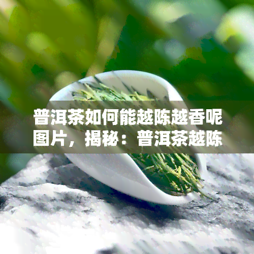 普洱茶如何能越陈越香呢图片，揭秘：普洱茶越陈越香的秘诀，一图看懂！