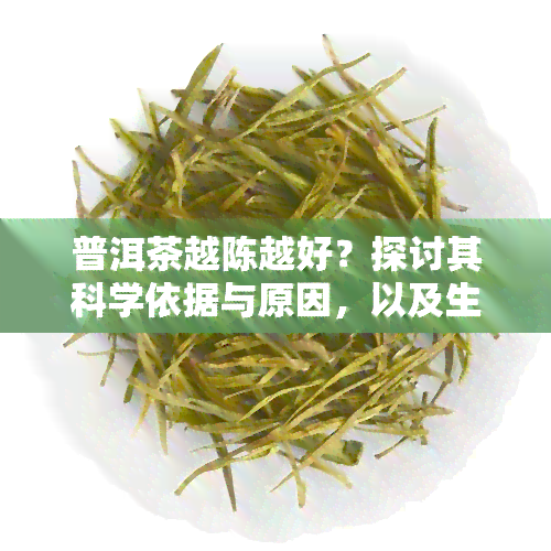 普洱茶越陈越好？探讨其科学依据与原因，以及生、熟普洱的区别和是否适合长期保存。