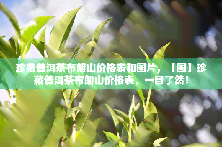 珍藏普洱茶布朗山价格表和图片，【图】珍藏普洱茶布朗山价格表，一目了然！